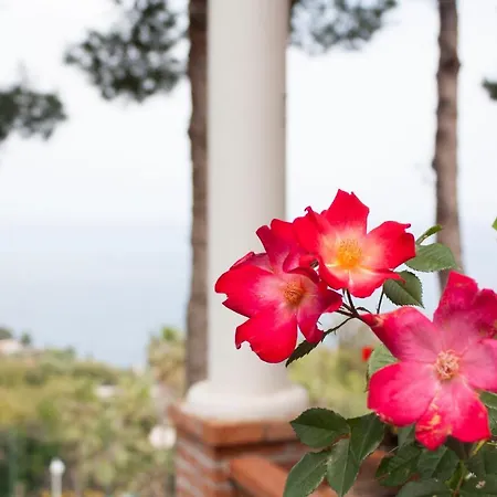 Otel Grand Miramare 4*